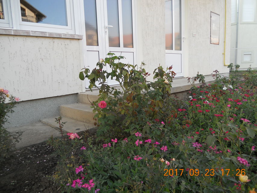 Milene Pavlović Barili 15, Petrovaradin - 2