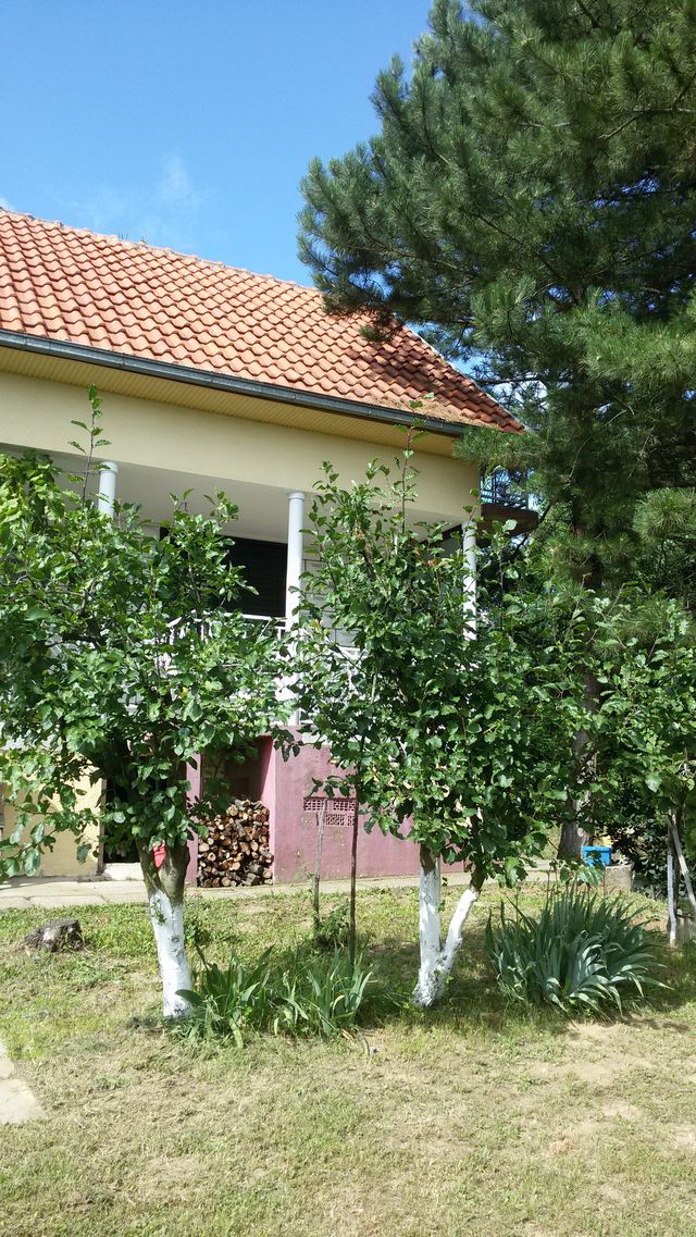 Manđeloški Put 48, Manđelos - 4