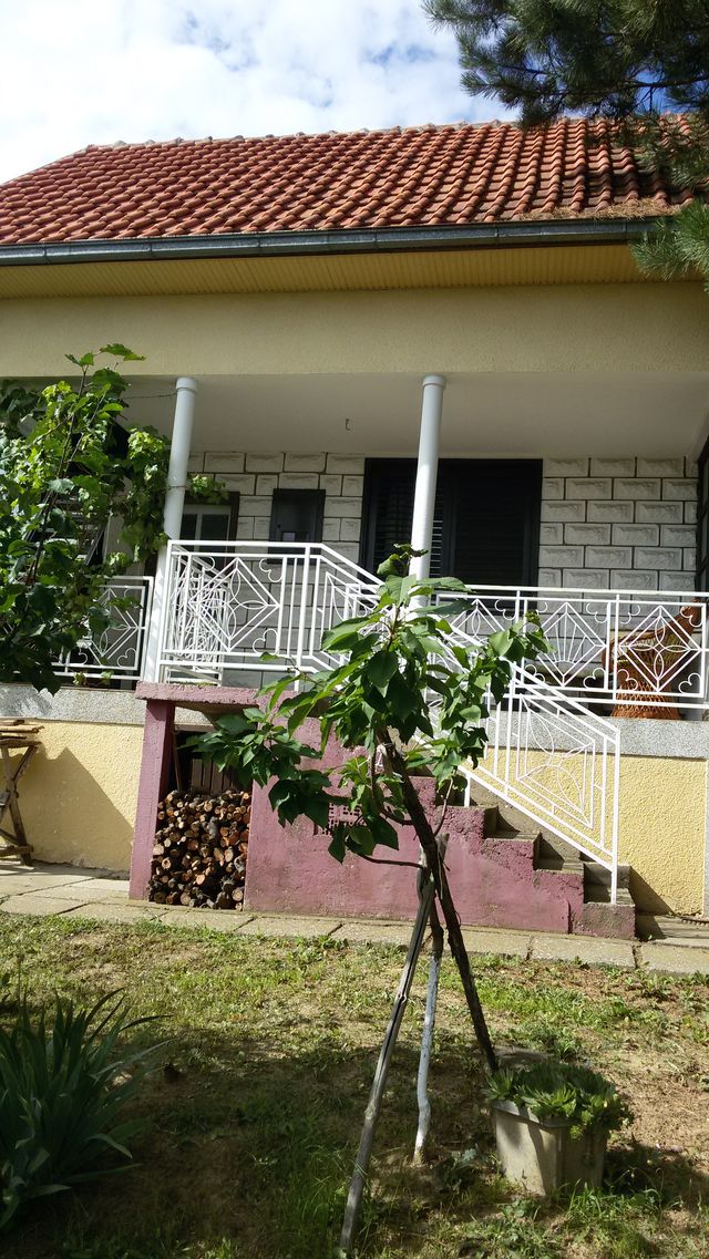 Manđeloški Put 48, Manđelos - 5