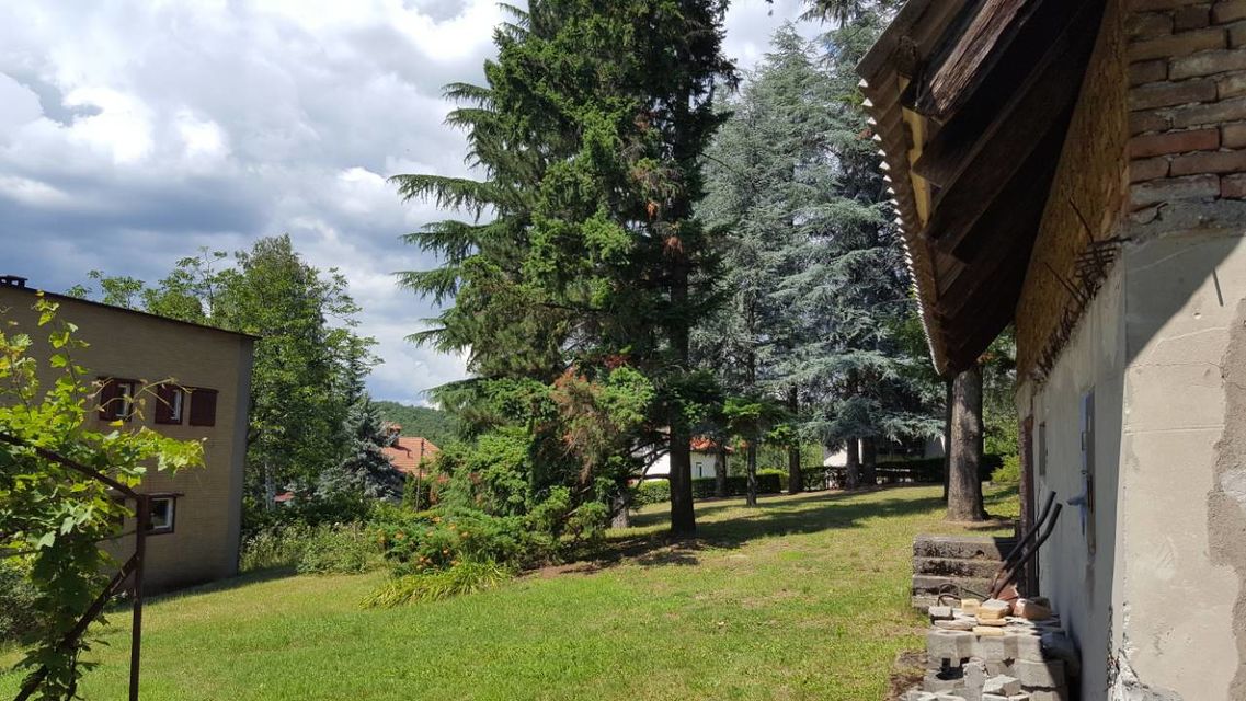 Lipovačka 62, Beograd - 5