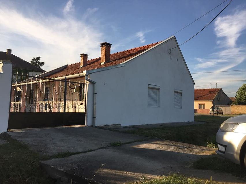 Tapai Šandora 31, Novi Bečej - 1