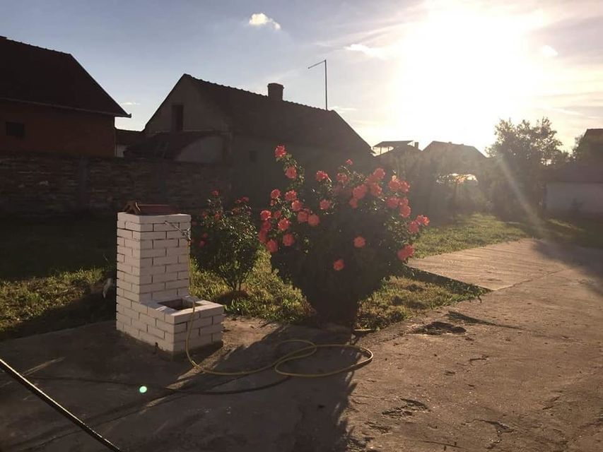 Tapai Šandora 31, Novi Bečej - 3