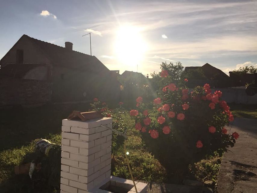 Tapai Šandora 31, Novi Bečej - 2