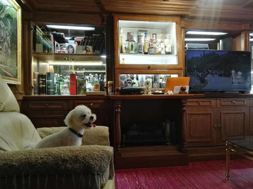 Glavna 12, Beograd - 21