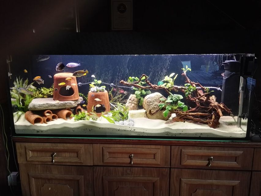 Glavna 12, Beograd - 20