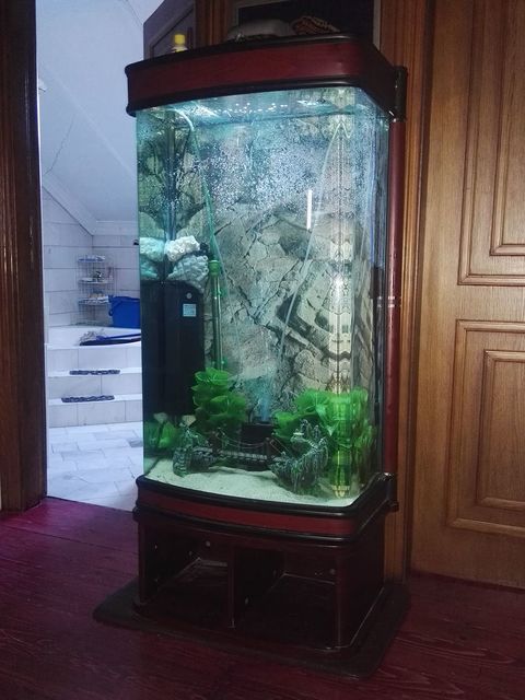 Glavna 12, Beograd - 17