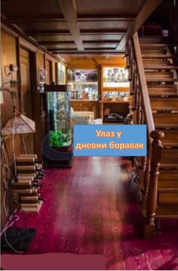 Glavna 12, Beograd - 19