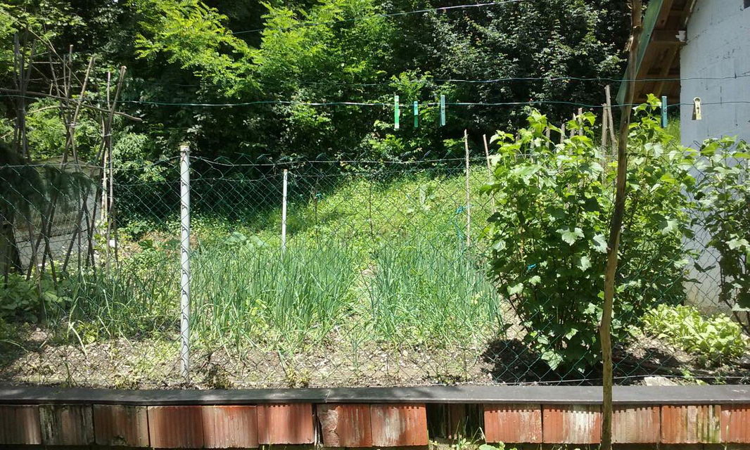 Vojvođanska 119, Užice - 7