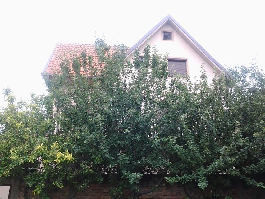 Knjaza Miloša Obrenovića 31, Omoljica - 4