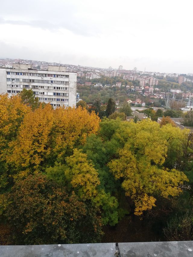 Ustanička 188, Beograd - 6