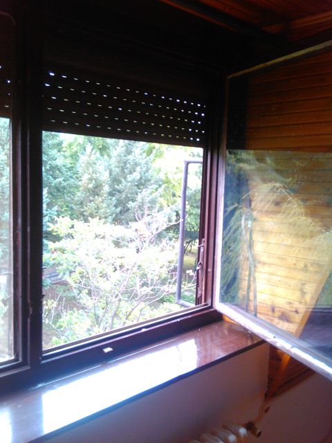 Mis Irbijeve 49, Beograd - 16