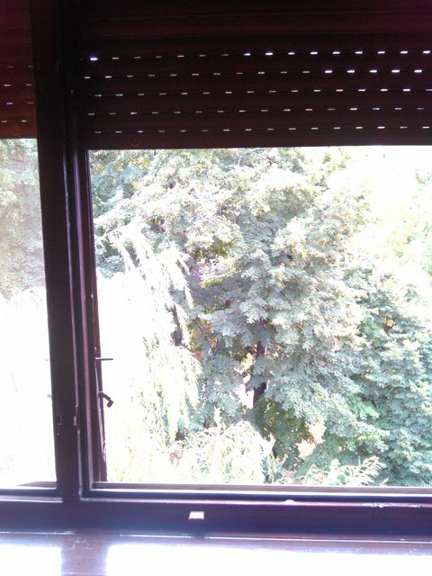 Mis Irbijeve 49, Beograd - 15