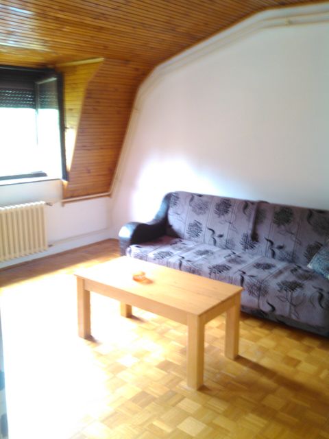 Mis Irbijeve 49, Beograd