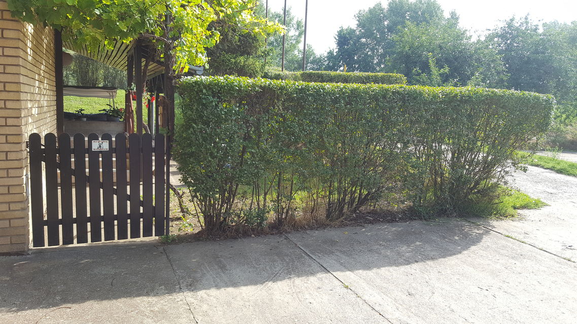 Gagarinova 3, Kanjiža