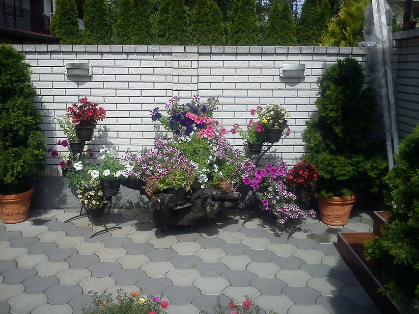 Jelke Radulović 19A, Niš