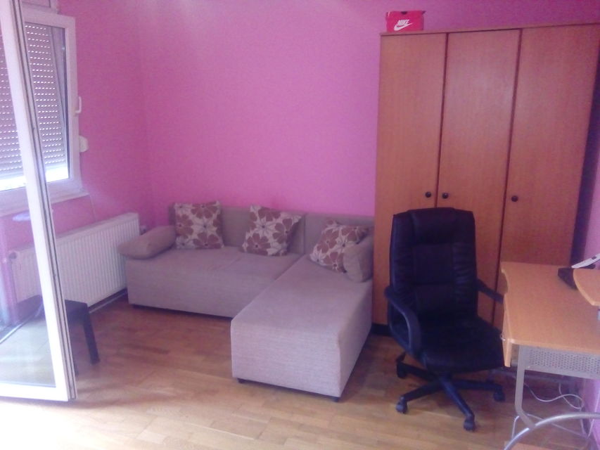 Braće Ribnikar 65, Novi Sad - 1