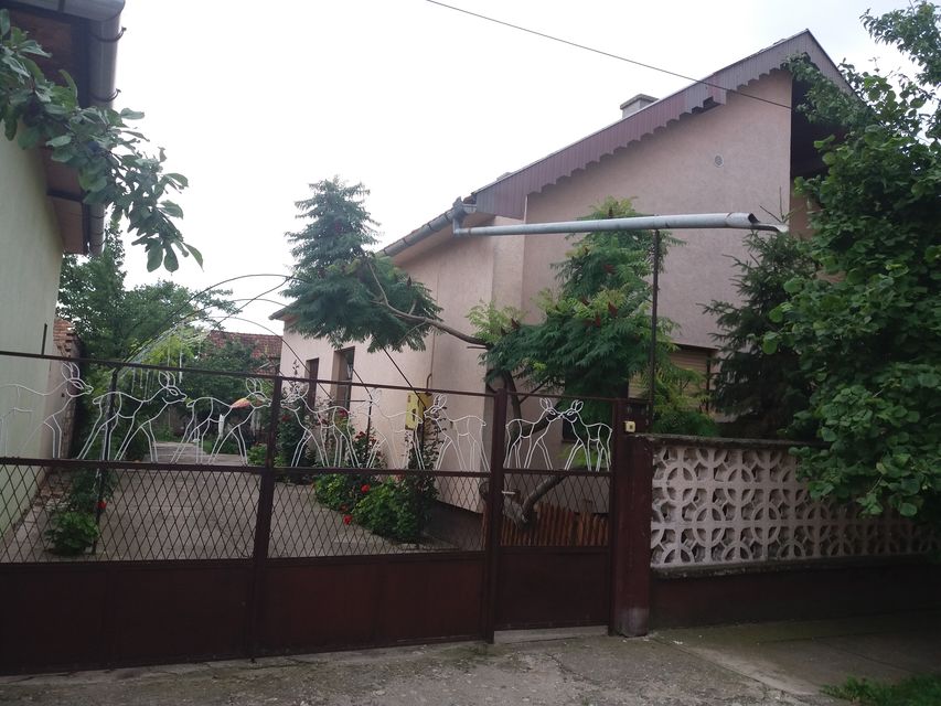 5. oktobar 1, Novi Bečej - 1