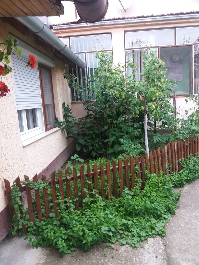 5. oktobar 1, Novi Bečej - 9