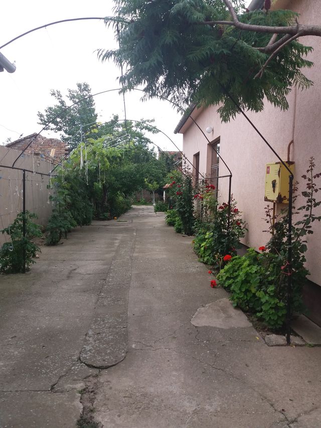 5. oktobar 1, Novi Bečej - 2