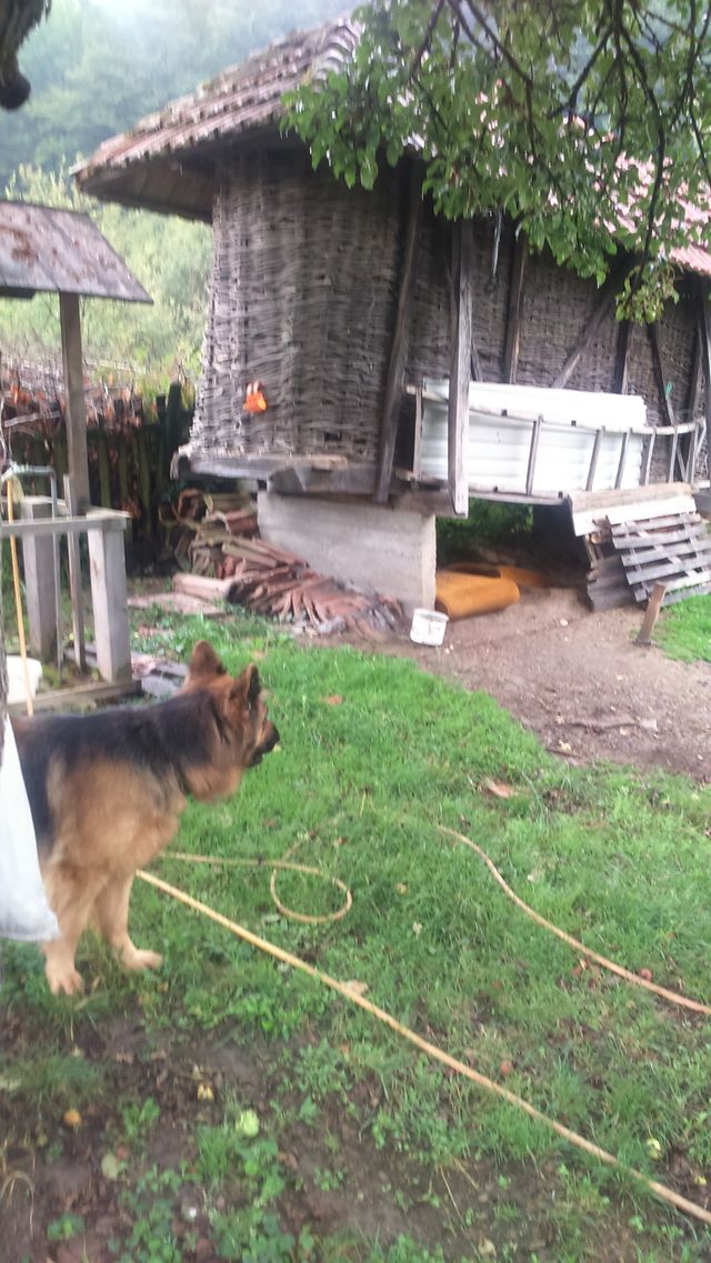 Ponikovica bb-1, Lunovo selo - 4