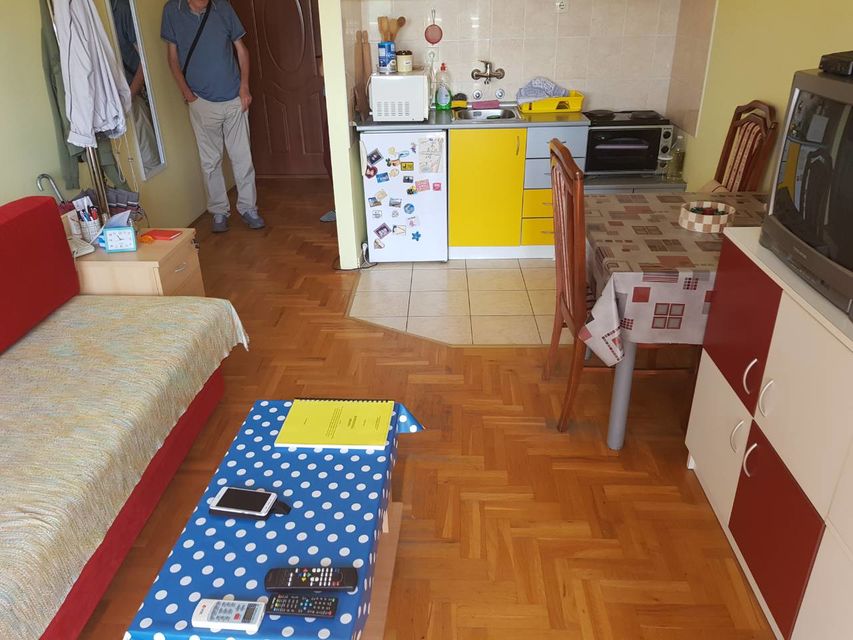 Veselina Masleše 60, Novi Sad