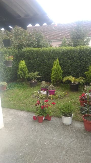 Besni fok 32, Beograd - 8