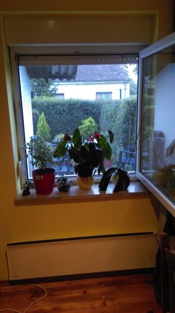 Besni fok 32, Beograd - 10