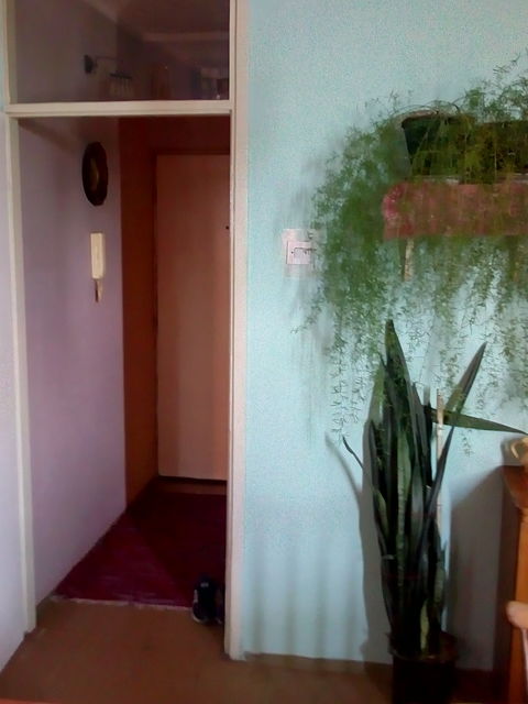 Požeška 158, Beograd