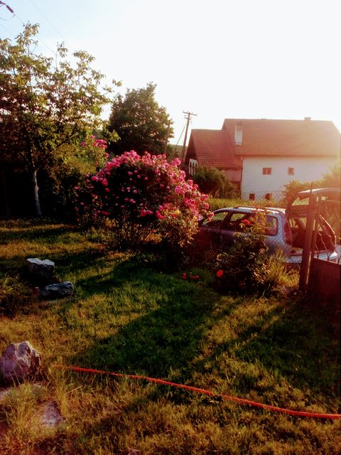 Aleksandra-Ace Tešića 70V, Beograd - 4