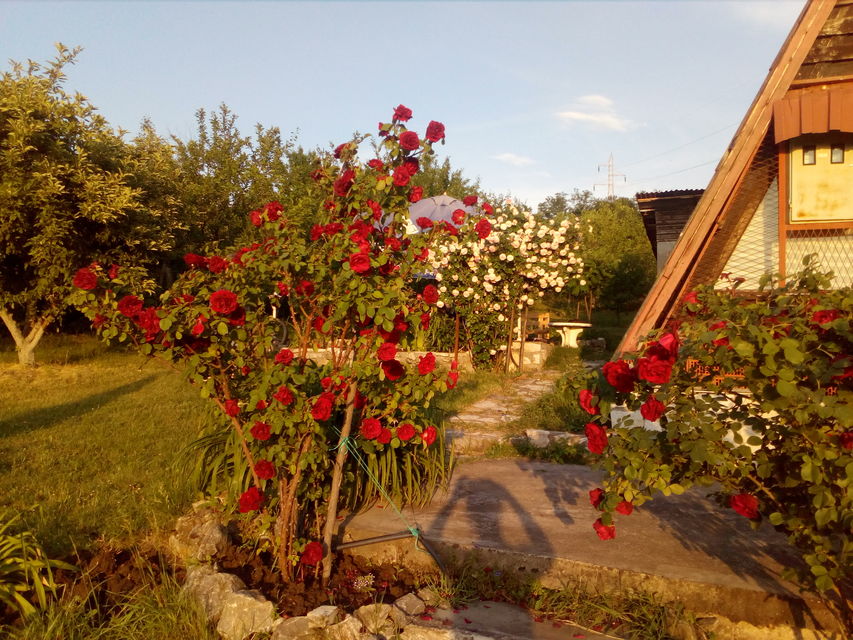 Aleksandra-Ace Tešića 70V, Beograd - 2