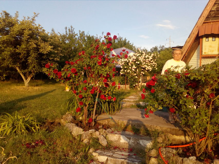 Aleksandra-Ace Tešića 70V, Beograd - 3