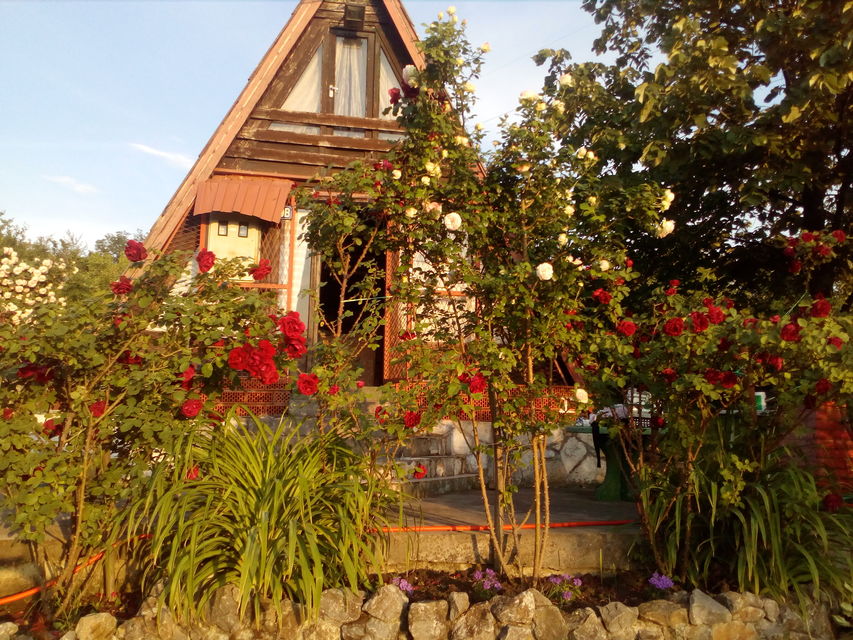 Aleksandra-Ace Tešića 70V, Beograd