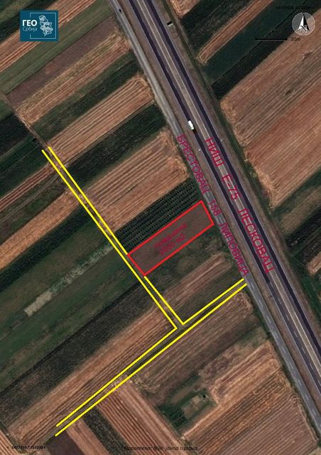 Leskovačka 7, Brestovac - 4