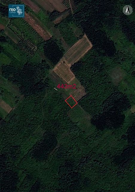 Leskovačka 7, Brestovac - 5