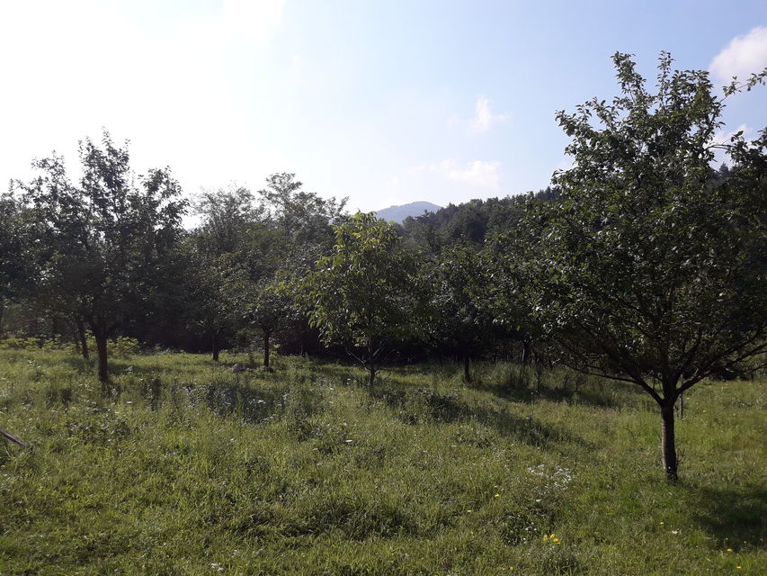 Leskovice  bb-1, Donje Leskovice - 4