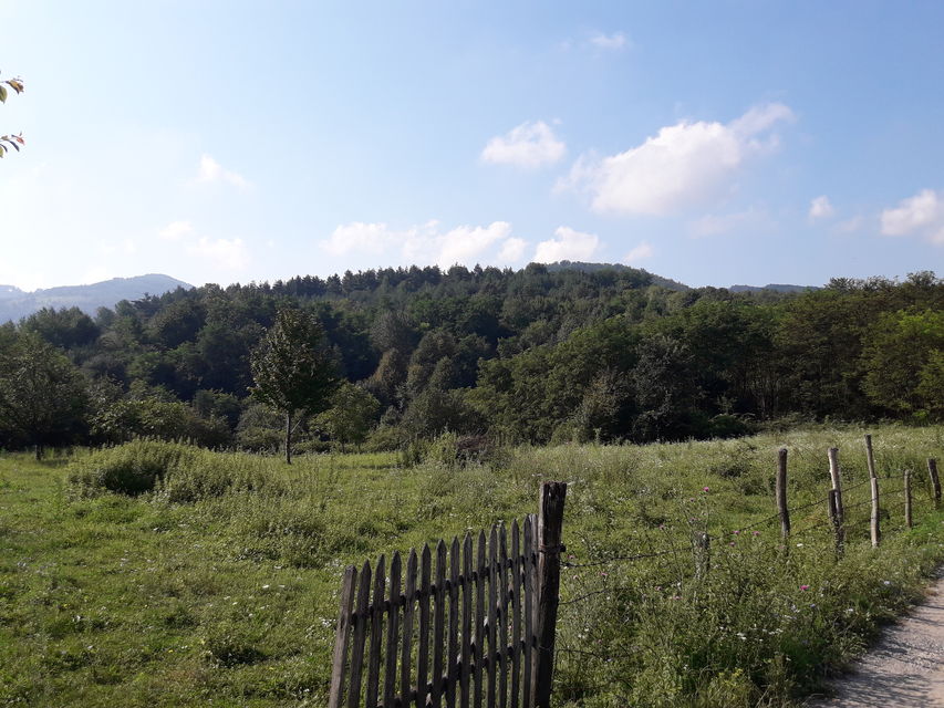 Leskovice  bb-1, Donje Leskovice - 2