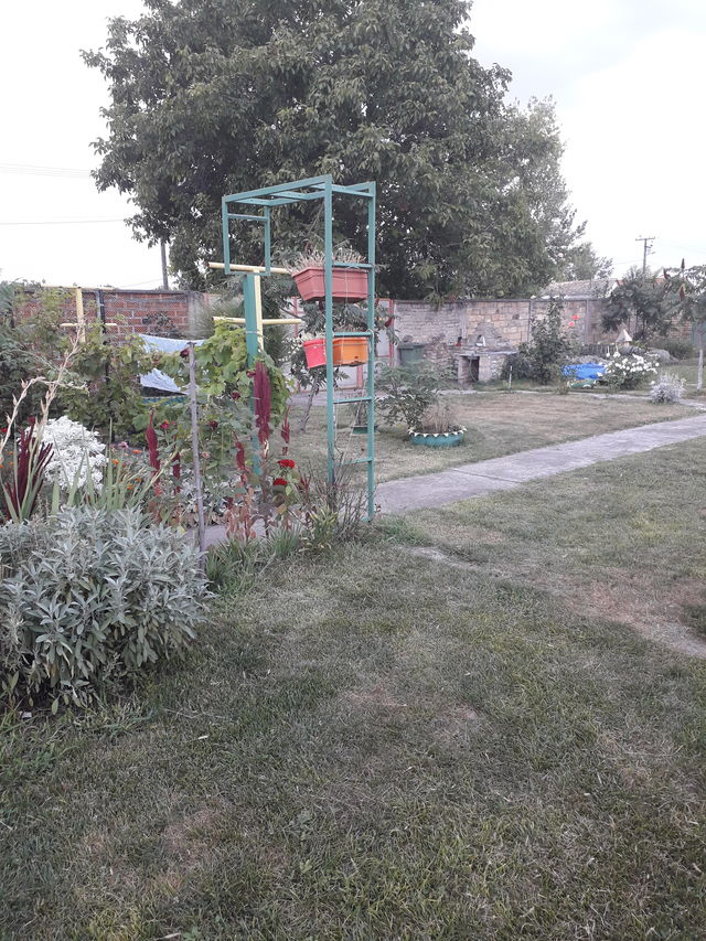 Svetozara Miletića 9, Nadalj - 12