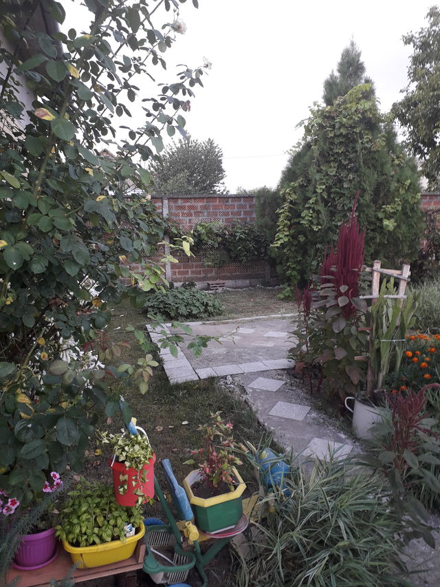 Svetozara Miletića 9, Nadalj - 20