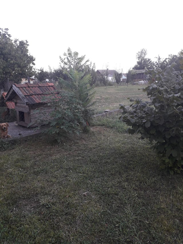 Svetozara Miletića 9, Nadalj - 19