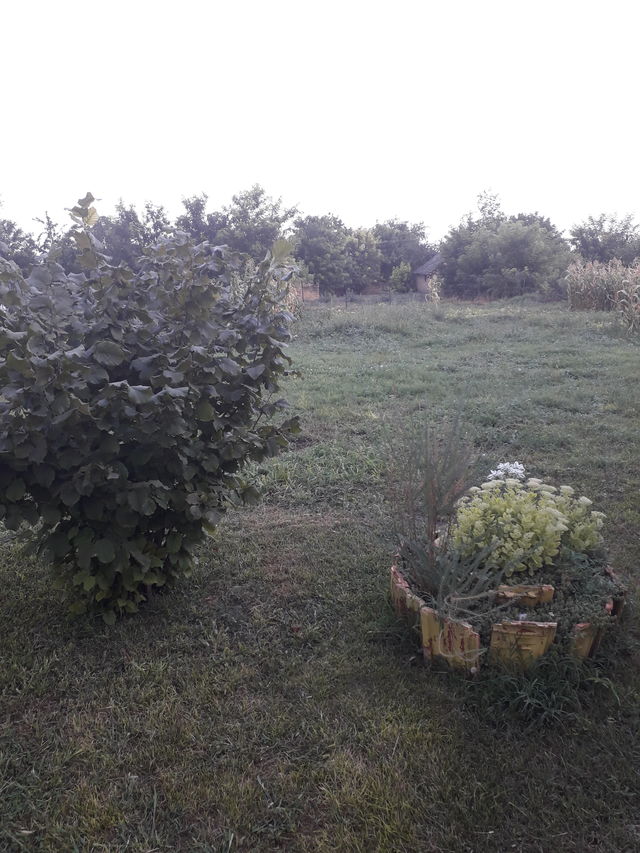 Svetozara Miletića 9, Nadalj - 14