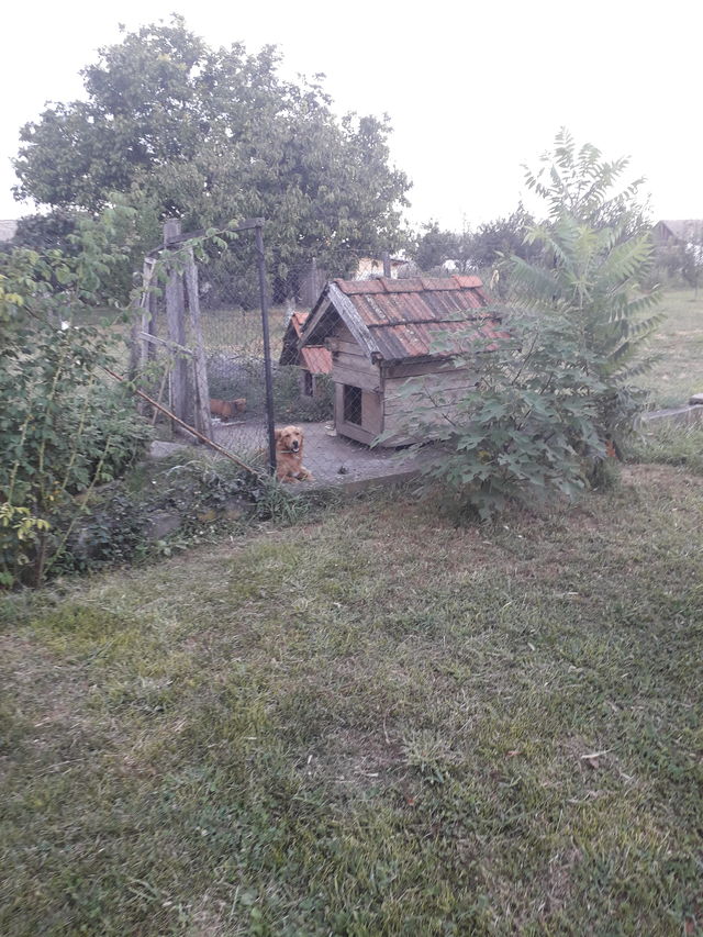 Svetozara Miletića 9, Nadalj - 13