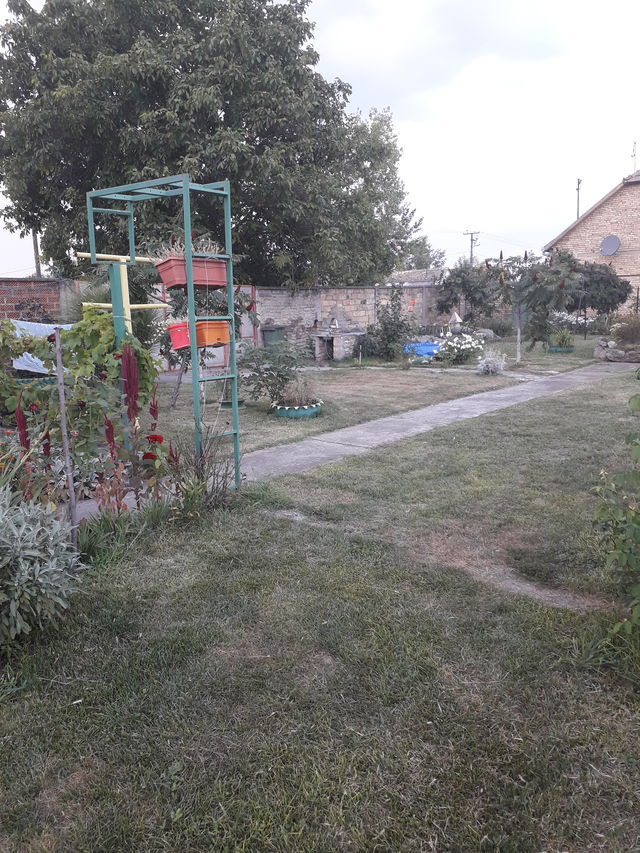 Svetozara Miletića 9, Nadalj - 17