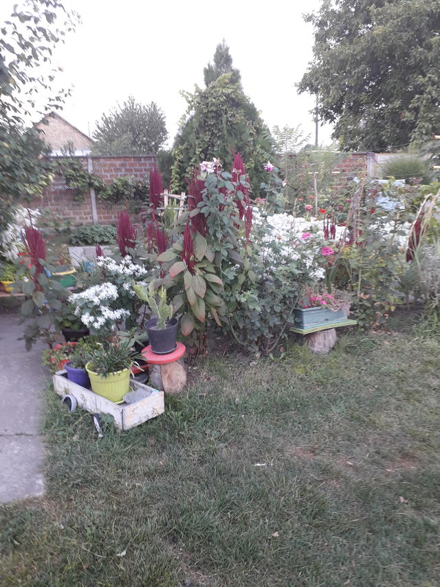 Svetozara Miletića 9, Nadalj - 18