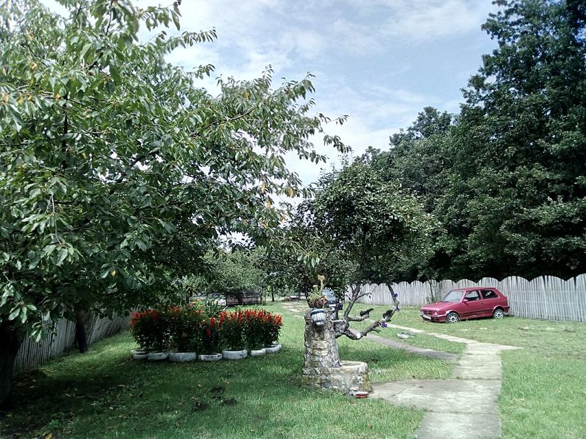 Poskurički Put bb-1, Kragujevac - 11