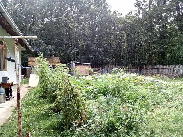 Poskurički Put bb-1, Kragujevac - 8