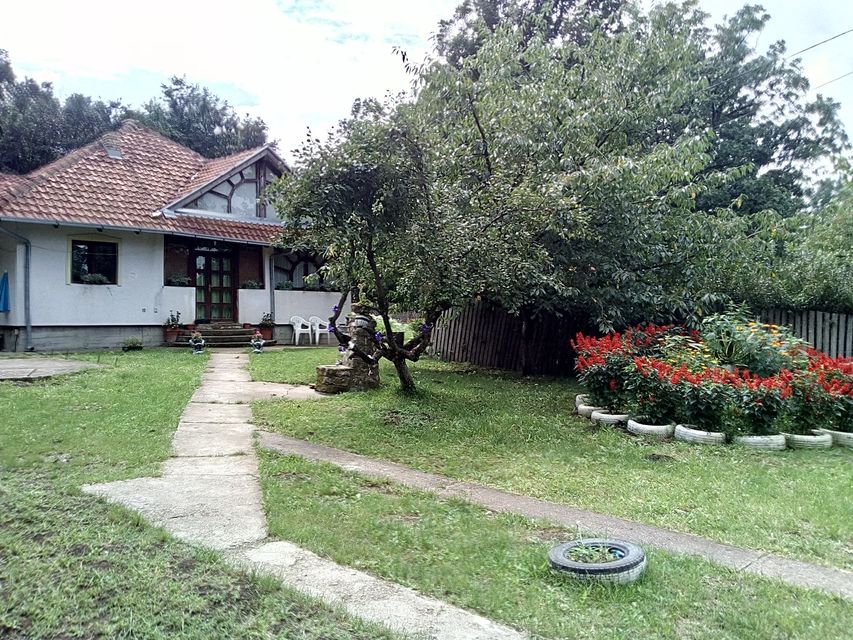 Poskurički Put bb-1, Kragujevac - 12