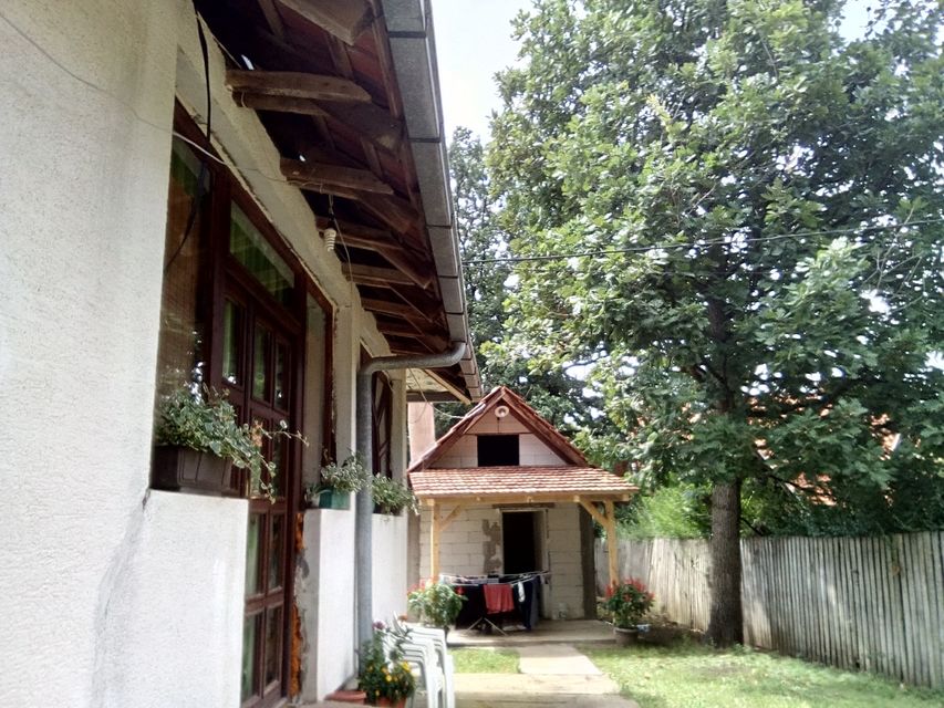 Poskurički Put bb-1, Kragujevac - 4