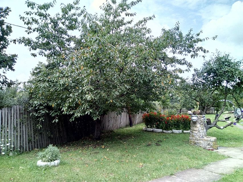 Poskurički Put bb-1, Kragujevac - 13