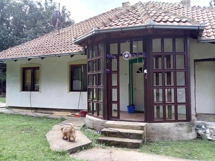 Poskurički Put bb-1, Kragujevac - 3