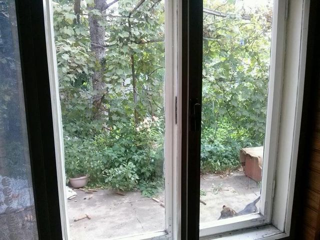 Jožefa Atile 14, Bačko Gradište - 12